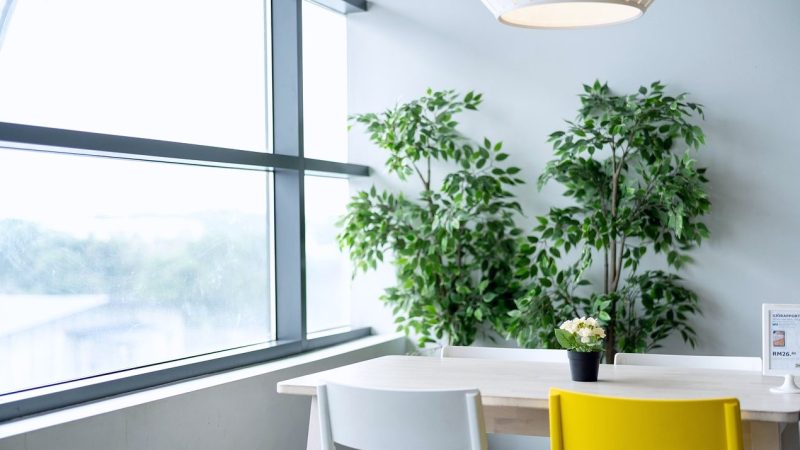 社交互动新纪元：亚洲博彩公司如何用预测机制革新桌面游戏体验