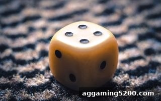亚洲博彩公司旗下金沙城六合彩：数字选号与规则全解析