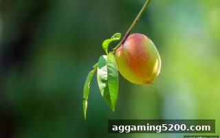 新手必读：电子游艺胜率与赔率全解析——亚洲博彩公司H5网页版实操指南
